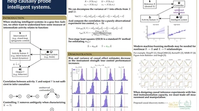 NAISys 2024 poster featured image