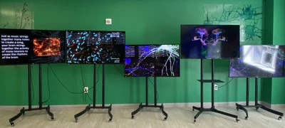 'Step the Brain along a Path' Lobby Installation featured image